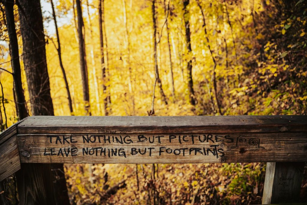 Wooden railing with inspiring message amidst golden fall foliage.