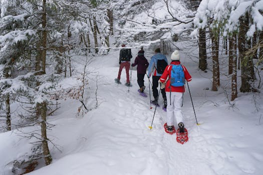 Group of hikers enjoying a snowy winter hike with snowshoes in a forest landscape.