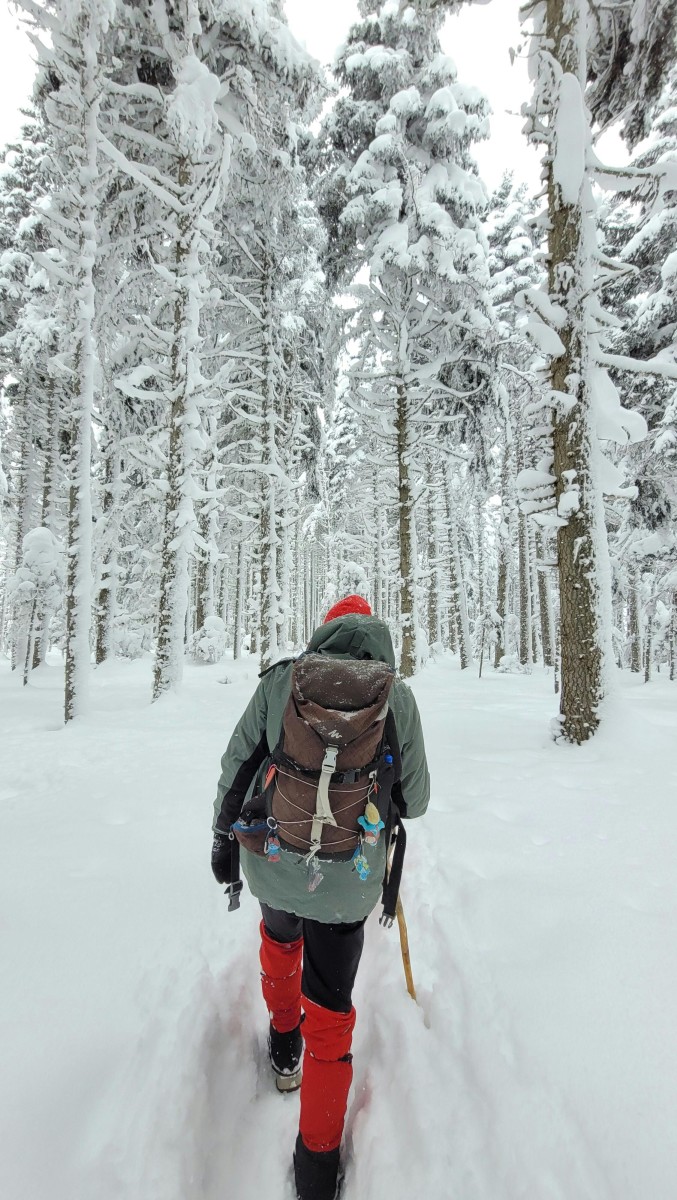 A lone hiker with trekking gear walks through a serene, snow-covered forest in winter.