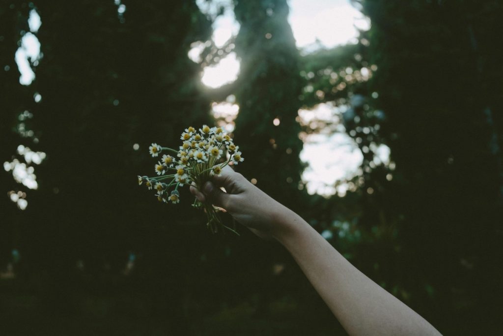 A serene capture of a hand holding wildflowers with a lush forest background, evoking tranquility and nature's beauty.