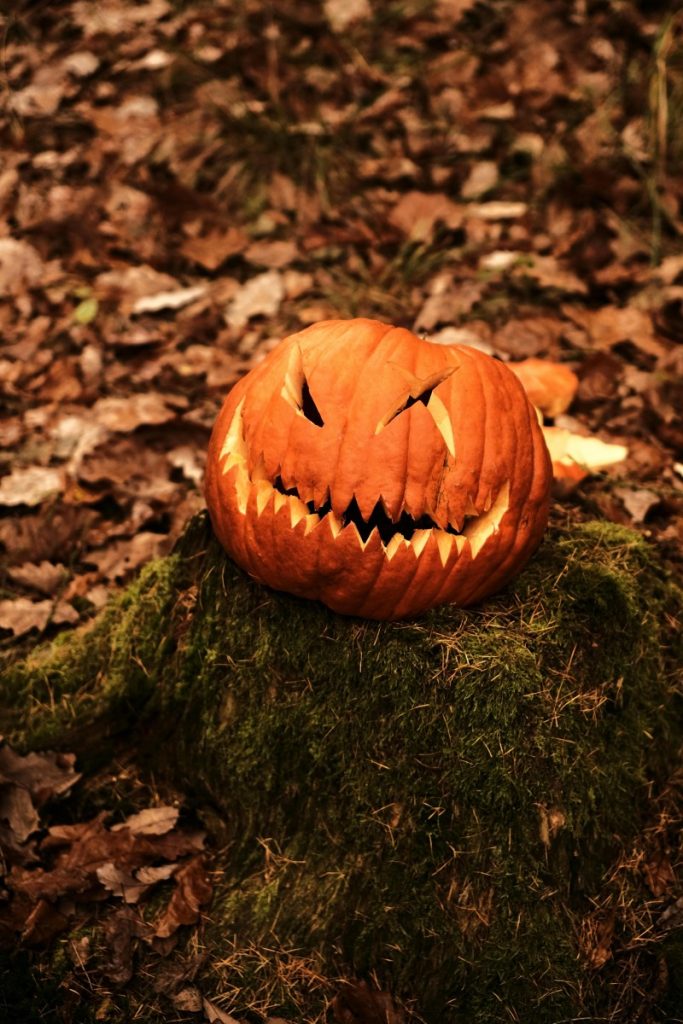 A carved jack-o'-lantern sits on moss in a fall forest, capturing a Halloween vibe.