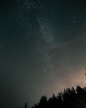 A serene star-filled night sky view over a forest in Leningrad Oblast, Russia.