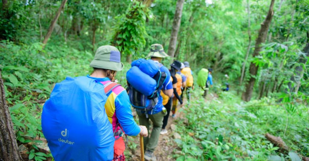 A group of backpackers hiking through a green forest trail in summer, experiencing nature and adventure.