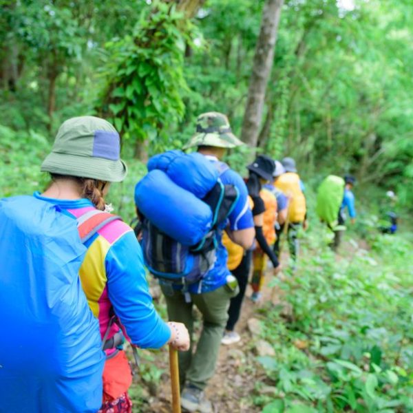 A group of backpackers hiking through a green forest trail in summer, experiencing nature and adventure.