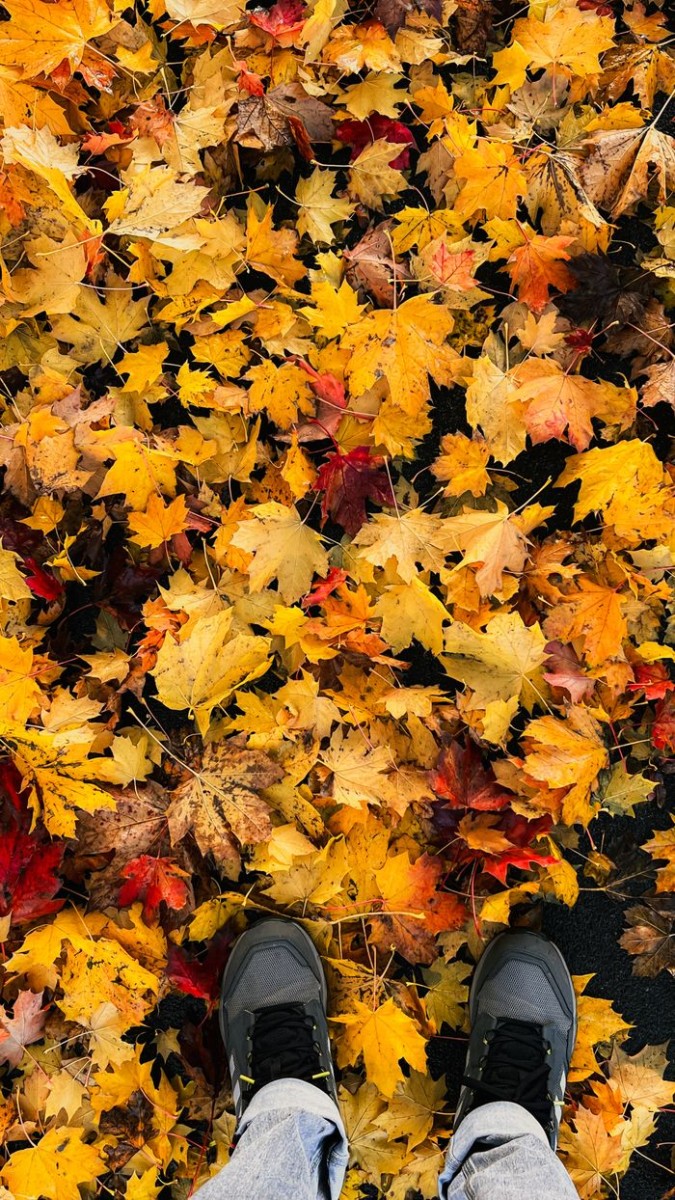 A top-down view of colorful autumn leaves with shoes, capturing the beauty of fall in Sheffield.