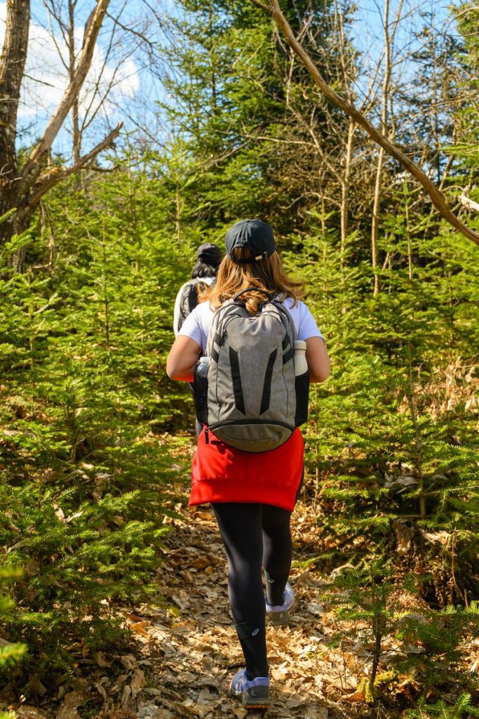 Two hikers traverse a lush, green forest trail on a sunny spring day, capturing the essence of adventure.