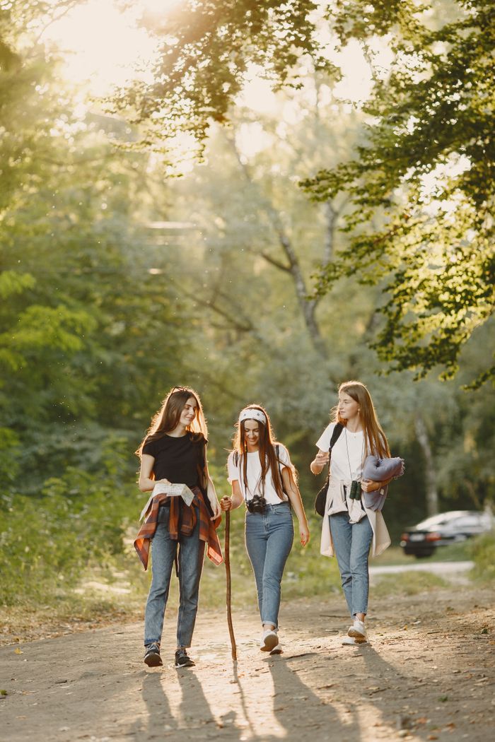 Three young women walking in a sunlit forest, enjoying a peaceful outdoor hike.