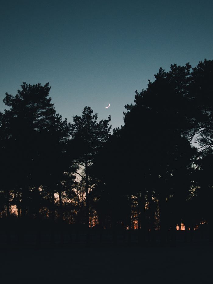 A calming scene of the crescent moon rising above a silhouette of forest trees at dusk.