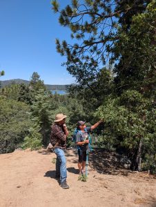 guide showing hiker detail about tree big bear hiking adventures
