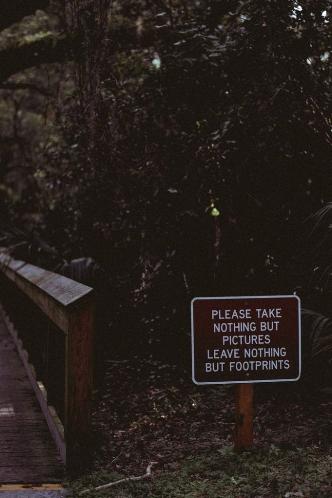 A forest trail with a sign urging visitors to leave no trace, emphasizing conservation.