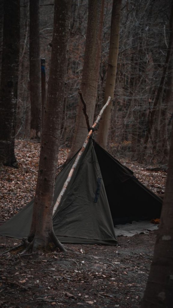 A camping tent set up in the serene woodlands of Bolu, Türkiye, amidst tall trees.