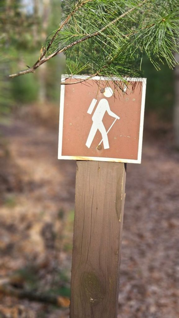Hiking signpost on a forest trail, perfect for nature and adventure themes.