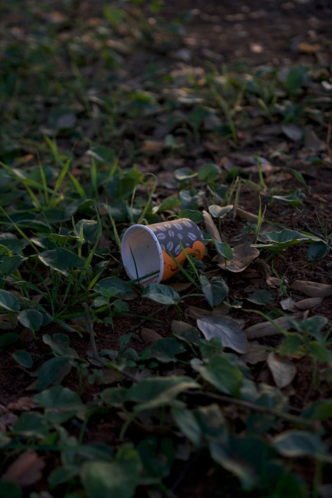 Close-up of a discarded coffee cup on the ground amidst green leaves.