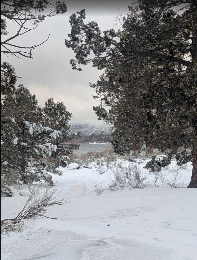 snowy view of big bear lake, big bear snowshoeing
