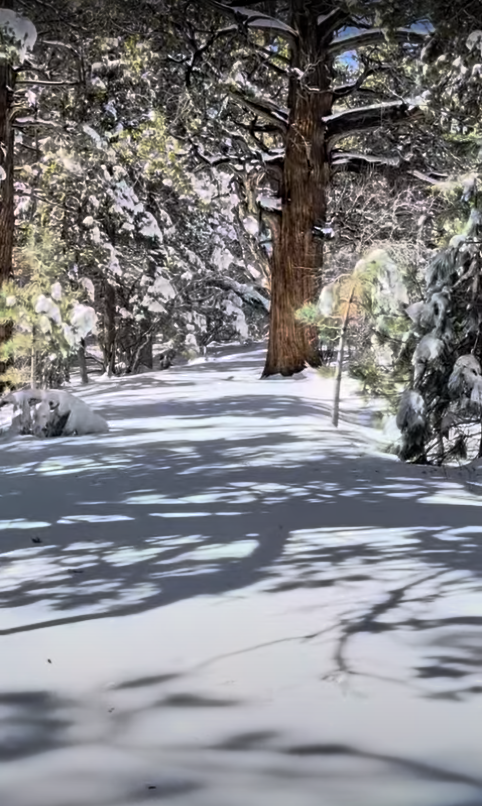 stunning view of big bear trail after snow big bear snowshoeing