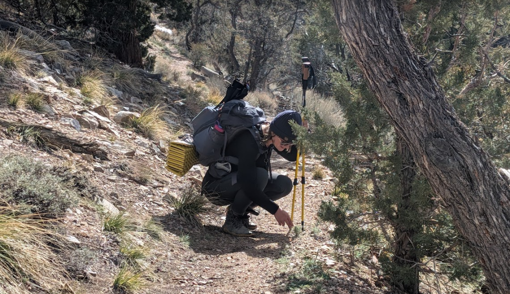 woman pointing out big bear flora and fauna