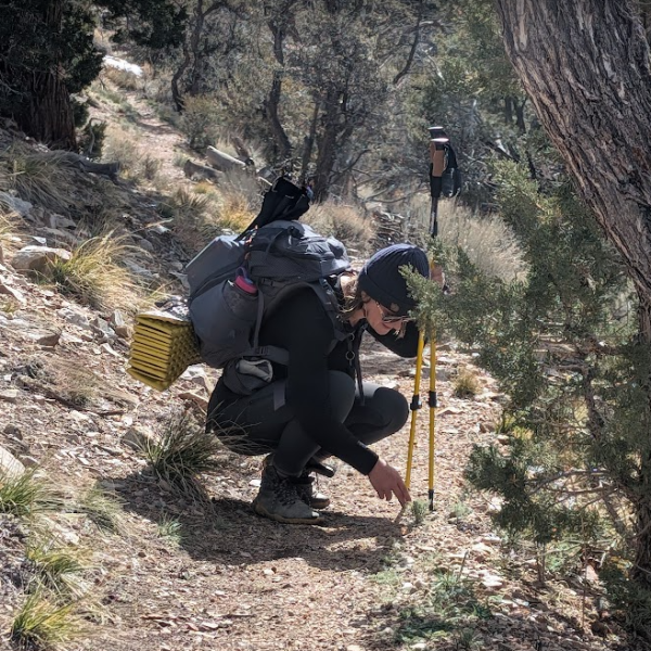 woman pointing out big bear flora and fauna